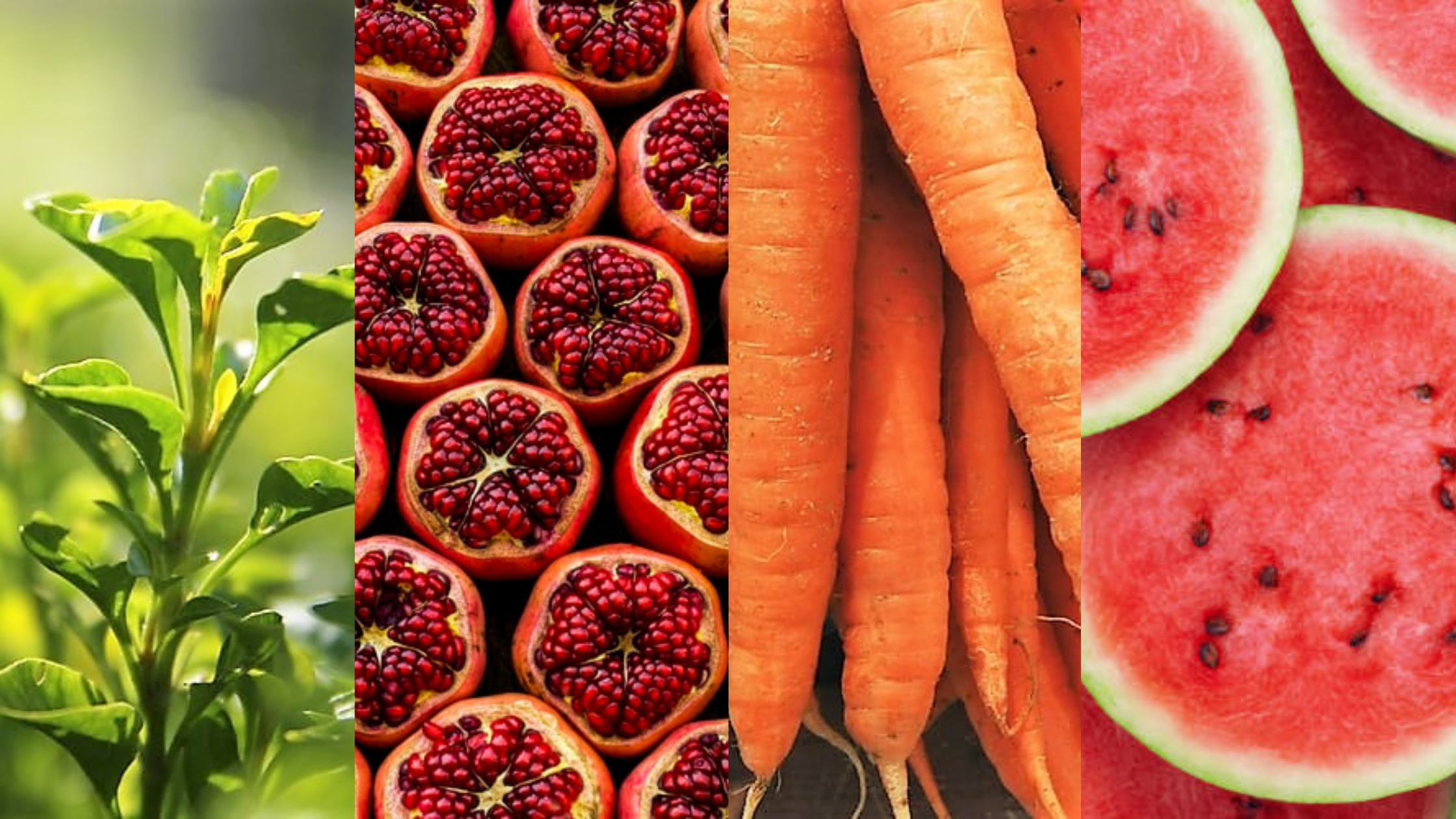 Antioxidants are a Girl’s Best Friend
