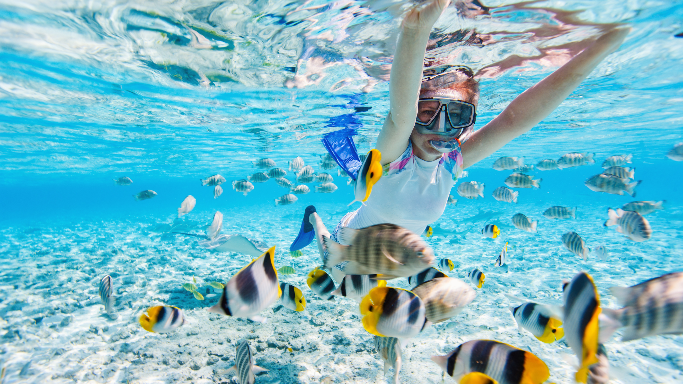 How Reef-Friendly Sunscreen Protects Your Skin and the Ocean