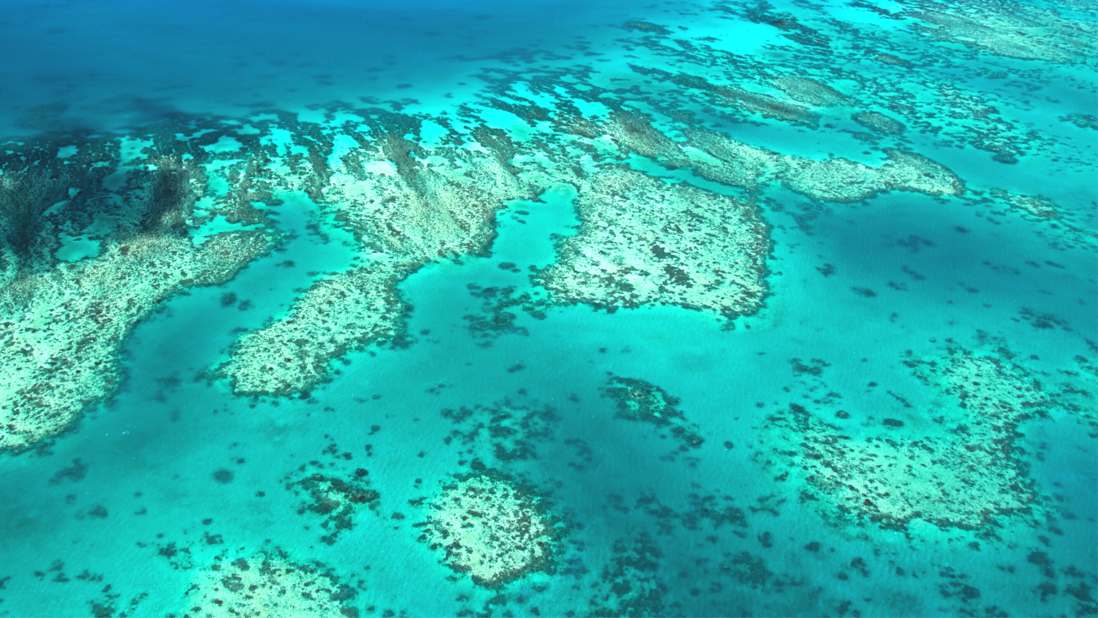From Reef-Friendly to Recycled – My Day Screen® is Eco-Friendly!